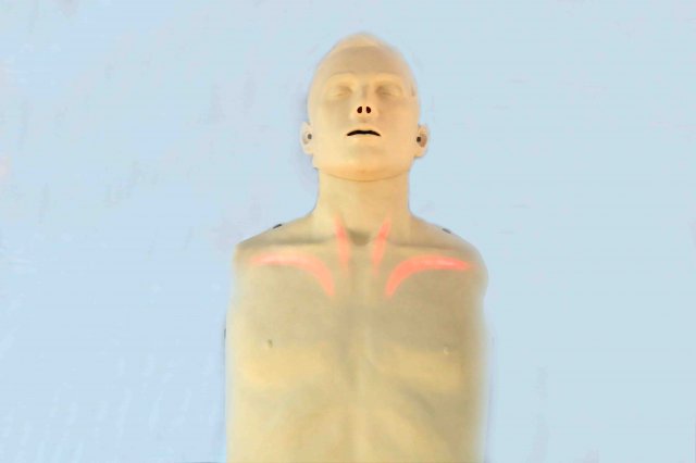 مانکن نشان دهنده جریان خون (هوشمند)